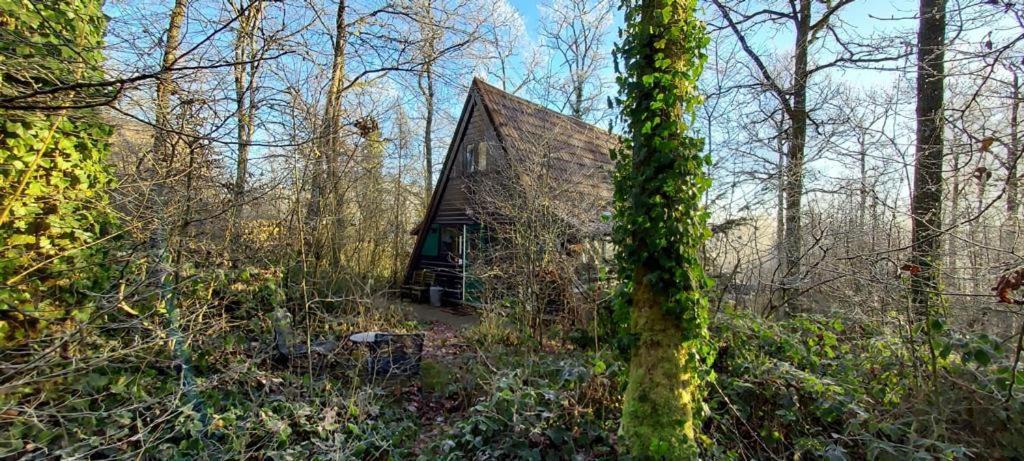 Het Boshuisje In Durbuy Exterior photo